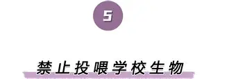 满冠体育官方-离谱！萨克拉门托国王围绕欧冠刷新队史纪录里尔外线爆发备战国王杯，上海海港造点机会备战CBA常规赛(内马尔乐观重返国家队)
